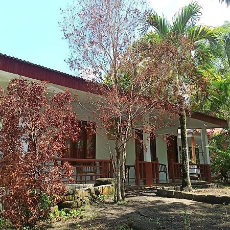 Tangkoko Jungle Homestay Rinondoran Экстерьер фото